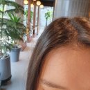 우성애드