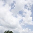 수산리-18 이미지