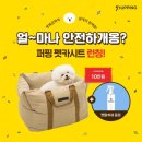 안전동행 이미지