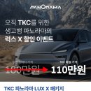 럭스틴팅