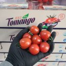 💫자두 🍑백도/황도/딱딱쫀득 🌽흑찰옥수수 🍇거봉/캠벨포도 💛🥝 제스프리 골드키위 🍒 생체리 🍊 하우스 귤 이미지