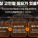 족발예찬 - 강릉시 홍제로71번길 12 | 족발예찬