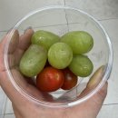 다나내추럴 | 구미꽃집, 동네 마실다니다 발견한 취향저격 모모플라워 방문후기