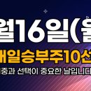신화티이씨 이미지