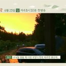 그림민박 이미지