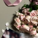 [스튜디오 촬영 생화부케] 치유플라워 온리로즈 부케 내돈내산 솔직후기