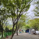 마지농원 이미지