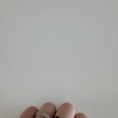 인코디 | 에이미인 비즈 팔찌 &amp; 블랙 꽃 반지 후기 – 화이트 팔찌와 실버꽃반지 세트 착용 후기