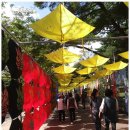 믿음행정사 이미지