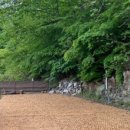 디어 마이 독 이미지