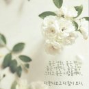 센스쟁이 이미지