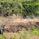 다래농장 이미지