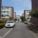 강정동-66 이미지