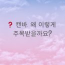 프레젠테이션 및 카드뉴스 제작 | 2025 캔바 활용법, 블로그와 카드뉴스를 쉽게 만드는 AI 디자인 도구