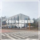 수원시녹색교통회관 수영장 | 수원시녹색교통회관 수영장 자유수영 후기(시간표, 주차, 수온, 시설 등)