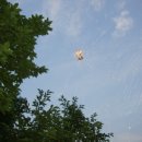 농장이야기 이미지