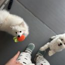 만냥노래방 이미지