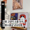 미농샵