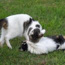 공원주유소 이미지