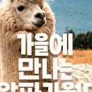 알파카월드 네이버블로그