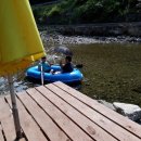 알파카 펜션 이미지