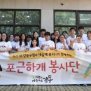 포근하개 이미지