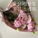 소래화