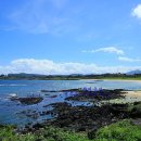 청수리 농어촌체험마을 이미지