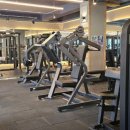 고릴라GYM 이미지