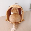 미유컴퍼니 이미지