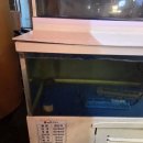 주막 옆 화장실 이미지