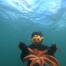 꼬동게스트하우스 이미지