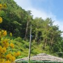 산골초가 이미지