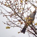 동춘당공원 이미지