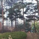 마곡토박이공인중개사사무소 이미지