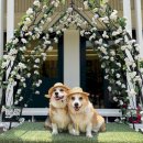 그라운독 이미지