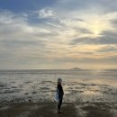 서천하늘아래펜션 | 서천 갯벌체험 후기 + 서천 가볼만한 곳 추천