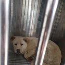 안흥초신진분교 이미지