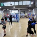 복서(BOXER) 분당센터 이미지