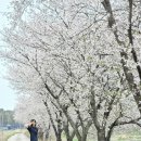소희목장 네이버블로그