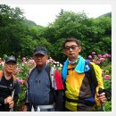 경옥봉 Daum카페