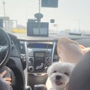 놀로 아쿠아센터 이미지