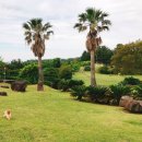 카페호와 이미지