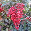 남천식품 이미지