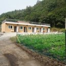 강원도 민박집 늘솔길펜션 후기요