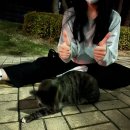 백씨미디어 | 새해와미디어비평과러쉬와불교