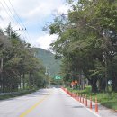 수정초 법주분교 이미지