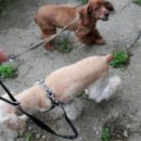 운심농장 이미지