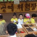 산동숲유치원 이미지