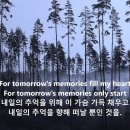 ＜팝 에세이＞ 시간을 건너온 노래, Tomorrow’s Memories 이미지